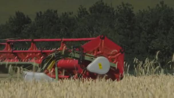 畑の収穫者と — ストック動画