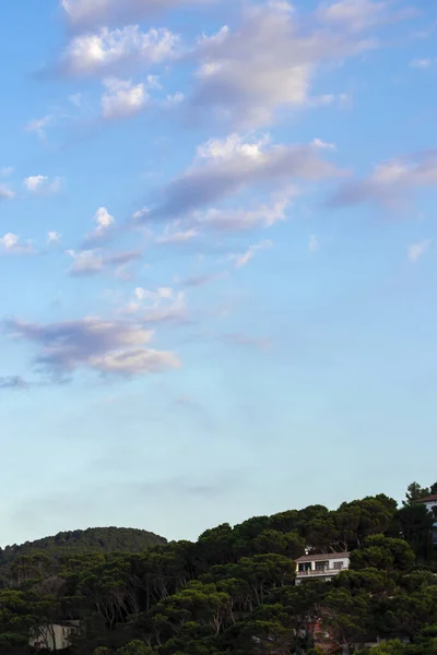 Μια Κάθετη Βολή Του Γραφικού Συννεφιασμένο Ουρανό Πάνω Από Πράσινο — Φωτογραφία Αρχείου