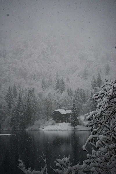 Vertical Shot Frozen Lake Surrounded Snowy Nature — Stock Fotó