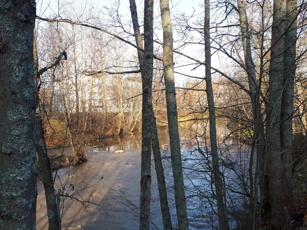 Keravanjokie Omringd Door Kale Bomen Struiken Bij Daglicht Vantaa Finland — Stockfoto