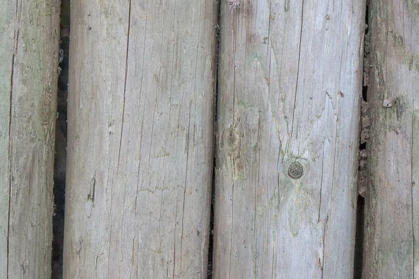 丸太で作られた薄い灰色のフェンスの閉鎖 — ストック写真