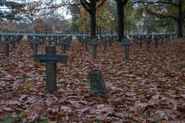 Lommel Belgium Nov 2021 Legnagyobb Német Háborús Temető Kriegsgraberstatte Emlékhely — Stock Fotó