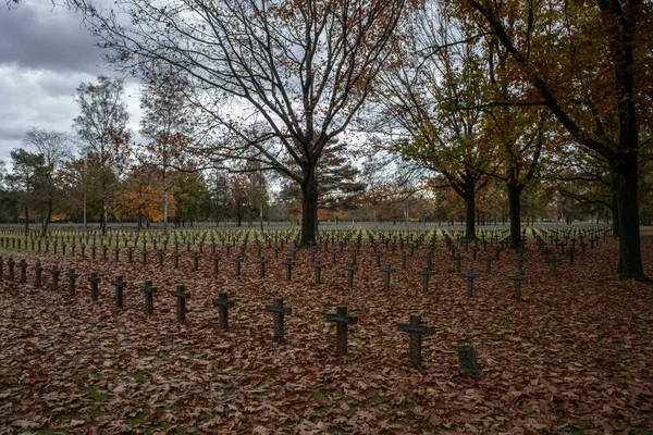 Lommel Belgium Nov 2021 Largest German War Cemetery Kriegsgraberstatte Memorial — Stock Photo, Image