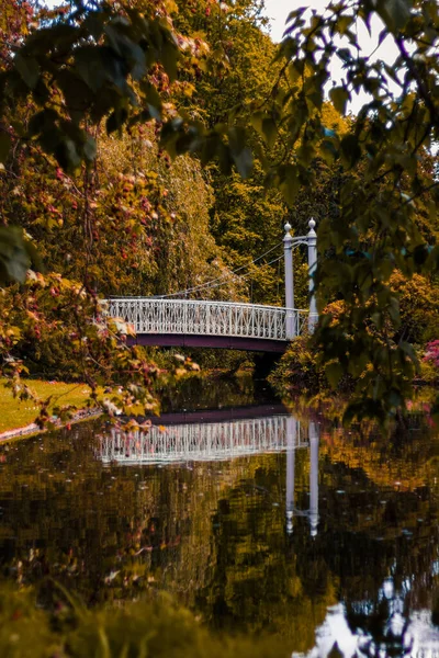 Vertical Shot Bridge Bridge Garden Paris — Fotografia de Stock