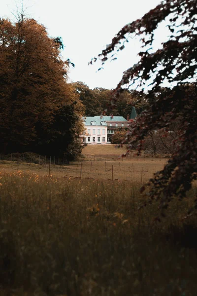 Vertical Shot Building Autumn Park Paris — Foto de Stock