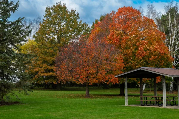 Eine Schöne Herbstszene Aus Park Und Buntem Laub — Stockfoto