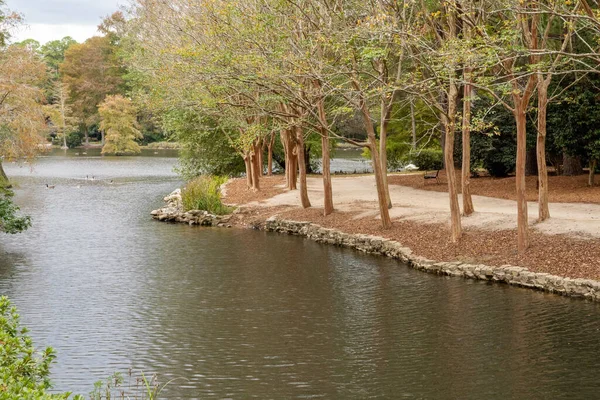 Scenic View Swan Lake Iris Gardens Park Sumter South Carolina — Foto Stock