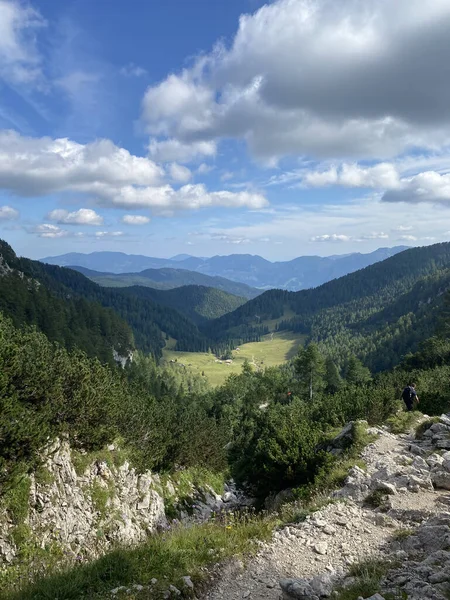Vertical Shot Scenic View Fore Mountains Triglav National Park Slovenia — Stockfoto