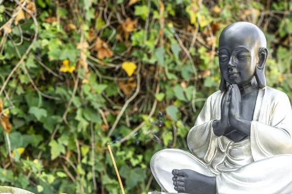 Eine Buddhistische Statue Vor Verschwommenem Buschhintergrund — Stockfoto