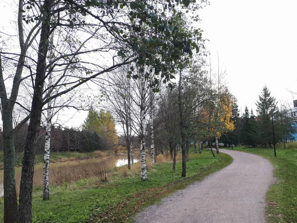 Krajobraz Parku Pokrytego Gołymi Drzewami Pobliżu Keravanjoki Vantaa Finlandia — Zdjęcie stockowe