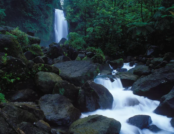 Чудовий Водоспад Домініці Вест Індія — стокове фото