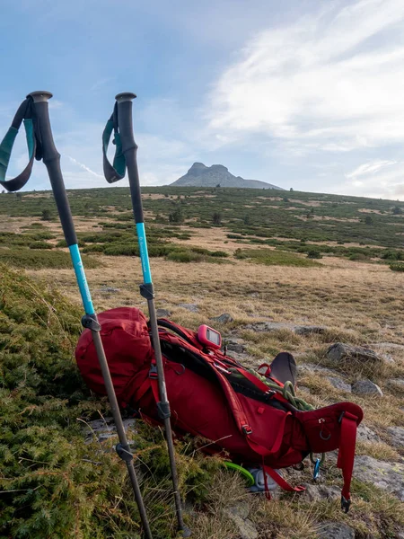 Een Close Shot Van Wandelspullen Een Veld Gedurende Dag — Stockfoto