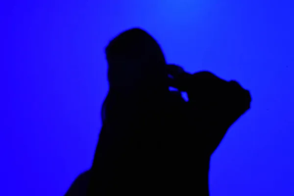 Een Silhouet Van Een Vrouwtje Elektrisch Blauwe Achtergrond — Stockfoto