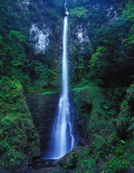 Ein Schöner Wasserfall Dominica Westindien Karibik — Stockfoto