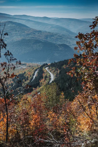 Una Hermosa Escena Otoñal Del Bosque Una Montaña Llena Coloridos —  Fotos de Stock