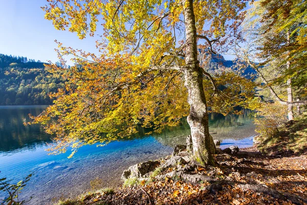 Idylické Horské Jezero Leopoldsteinersee Rakousku — Stock fotografie
