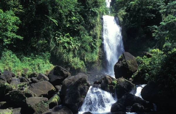 Uma Bela Cachoeira Dominica Índias Ocidentais Caribe — Fotografia de Stock