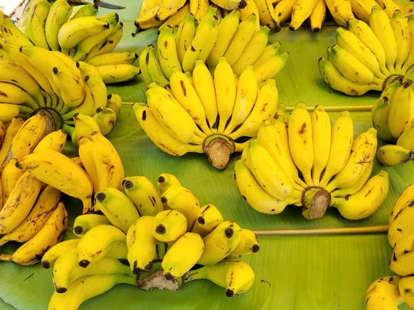Close Pequena Banana Indiana Para Venda Folha Mumbai Índia — Fotografia de Stock