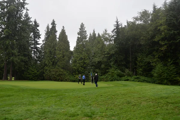 Människorna Golfbanan Regnig Och Dimmig Dag — Stockfoto