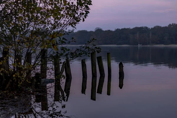 Dřevěné Tyče Břehu Jezera Ijzeren Man Barevného Podzimu Časného Rána — Stock fotografie