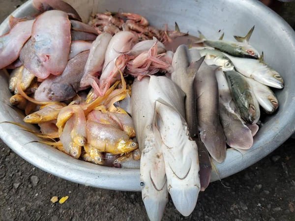 Очищення Прісної Риби Морепродукти Мумбаї Індія — стокове фото