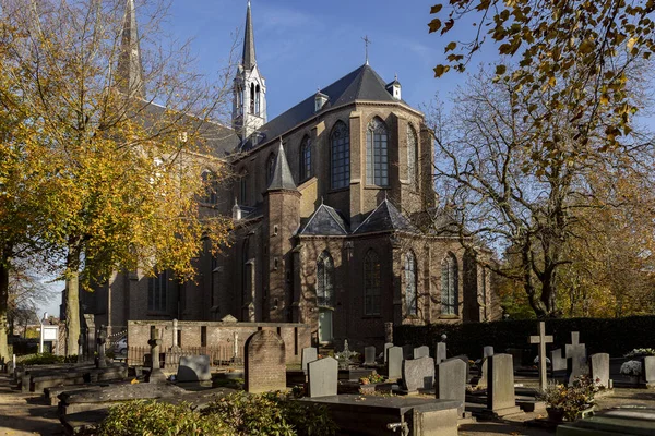 Sint Jan Geboortekerk Церковь Возвышаясь Видел Через Осенние Цветные Деревья — стоковое фото