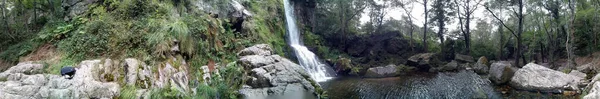 Plano Panorámico Una Cascada Bosque — Foto de Stock