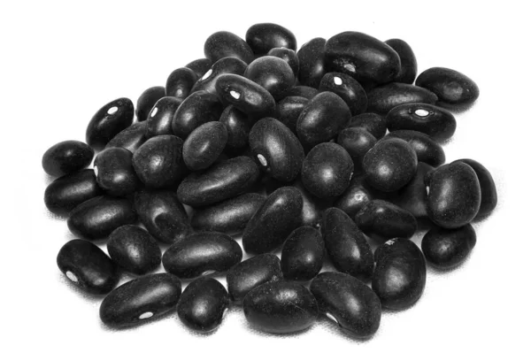Μαύρο Φασόλι Vigna Mungo Που Απομονώνεται Λευκό Φόντο Δίαιτα Κέτο — Φωτογραφία Αρχείου