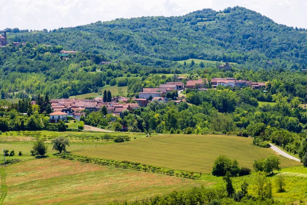 Gabiano Monferrato Alessandria Piemonte Italien Juni 2021 Landskapsutsikt Solig Dag — Stockfoto