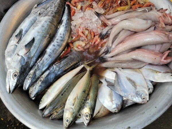 Closeup Fresh Fish Seafood Background Food Mumbai Índia — Fotografia de Stock
