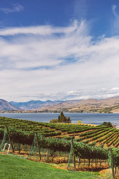 Прекрасний Краєвид Виноробні Біля Озера Челан Вашингтоні — стокове фото