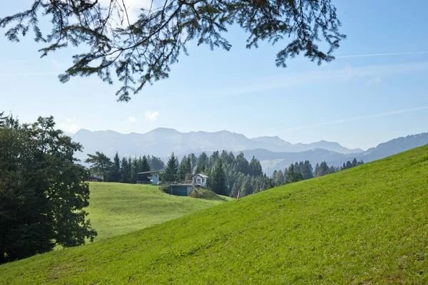 오스트리아 젤리의 아름다운 과산들의 — 스톡 사진