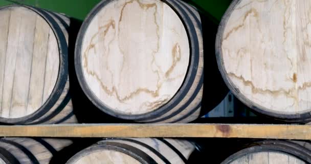 Wine Barrels Barrel Table — Stock Video
