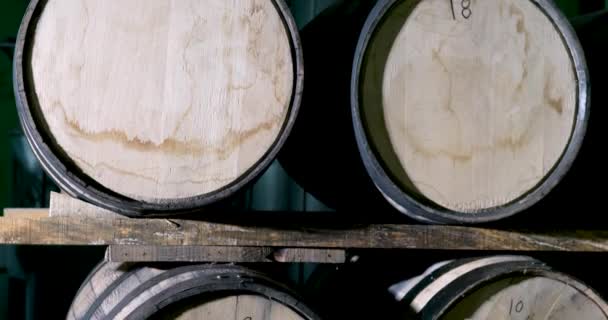 Wine Barrels Wooden Background — Stock Video