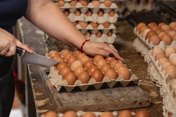 Una Hembra Organizando Unos Huevos Granja Para Enviar Las Tiendas — Foto de Stock