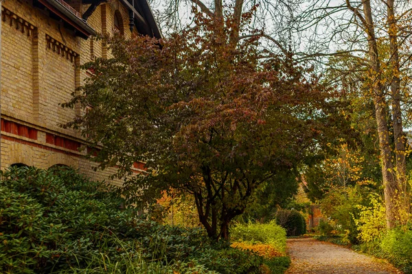 Una Hermosa Vista Paisaje Otoñal Con Árboles Hojas Coloridas Caídas — Foto de Stock