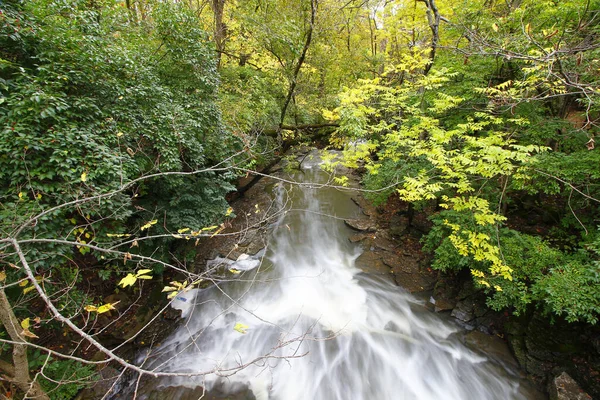 Beautiful View River Water Natural Green Plants Trees — Zdjęcie stockowe