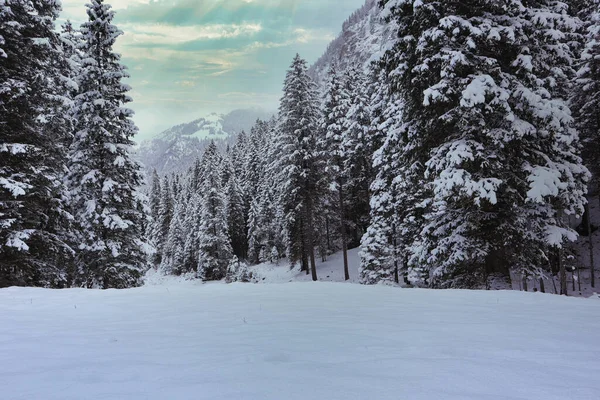 Beautiflul Paisaje Invierno Malbun Liechtenstein — Foto de Stock