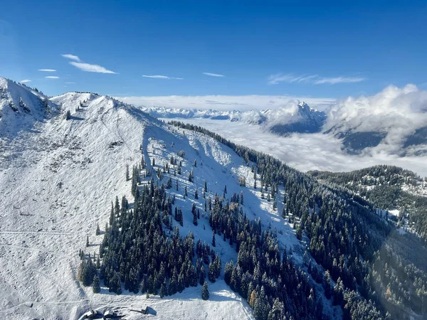 Las Montañas Cubiertas Nieve Con Densos Árboles Siempreverdes — Foto de Stock