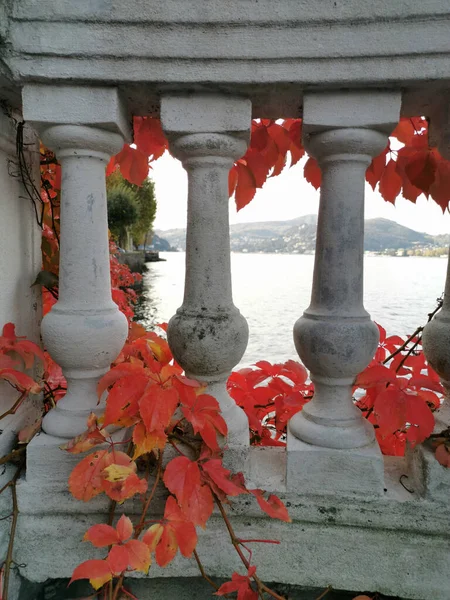 Vertical Shot Seascape Seen Balcony Stony Railings Autumn Plants — Stock Fotó