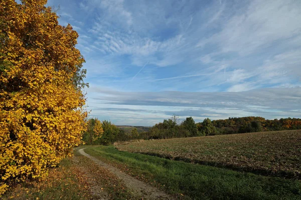 Una Bella Foto Del Paesaggio Autunnale Con Prati Verdi Campi — Foto Stock