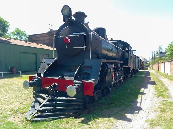 Remedios Escalada Buenos Aires Argentine Nov 2021 Grande Locomotive Vapeur — Photo