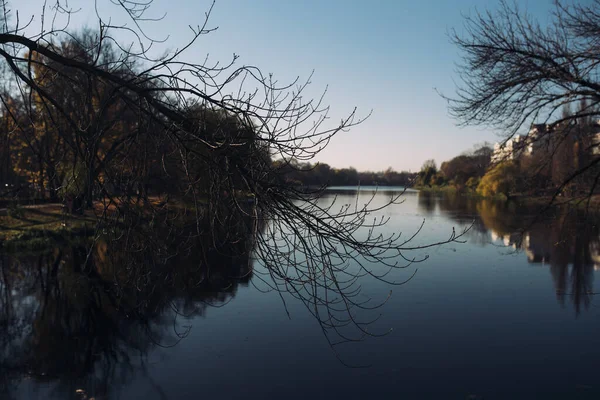 Bellissimo Paesaggio Con Lago Che Riflette Gli Alberi Varsavia Polonia — Foto Stock