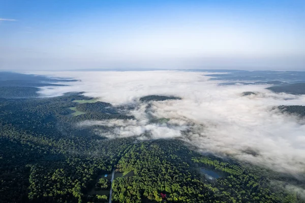Aerial View Misty Green Forests — Stock fotografie
