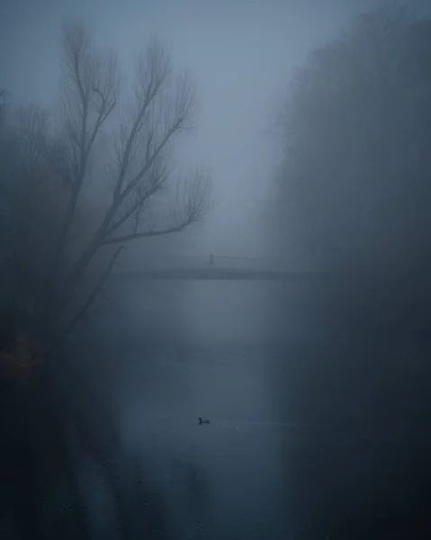 Вертикальный Снимок Моста Через Реку Окружённого Деревьями Покрытыми Туманом — стоковое фото