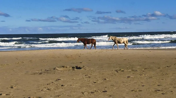 Two Horses Beach — Foto de Stock