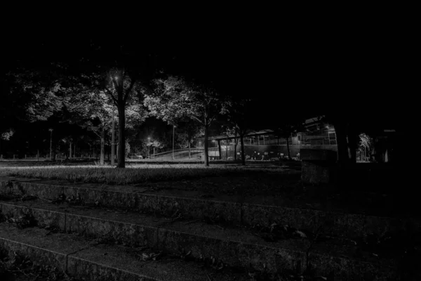 Szary Strzał Parku Schodami Wieloma Drzewami Nocy — Zdjęcie stockowe
