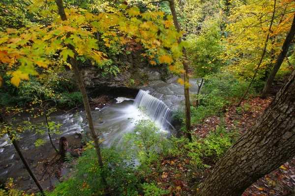 美丽的河流瀑布景观 有着天然的绿色植物和树木 — 图库照片