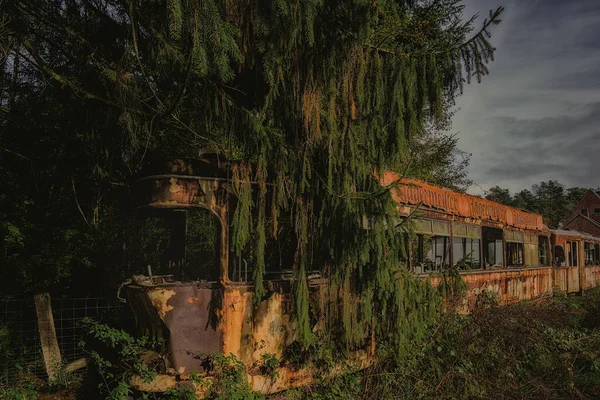 Primo Piano Vecchio Treno Arrugginito Circondato Alberi — Foto Stock