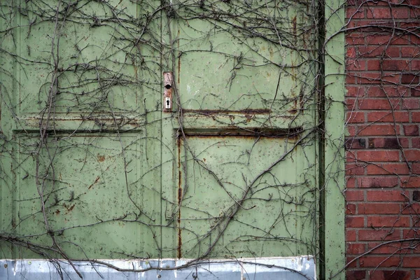 Duvarlara Tırmanan Eski Bir Metal Kapı — Stok fotoğraf